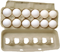 eggs
